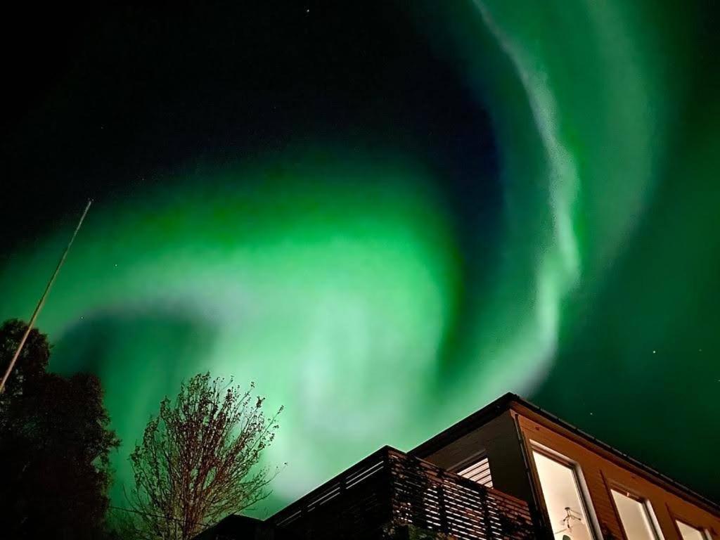 Waterfront Senja Apartment Torsken Luaran gambar